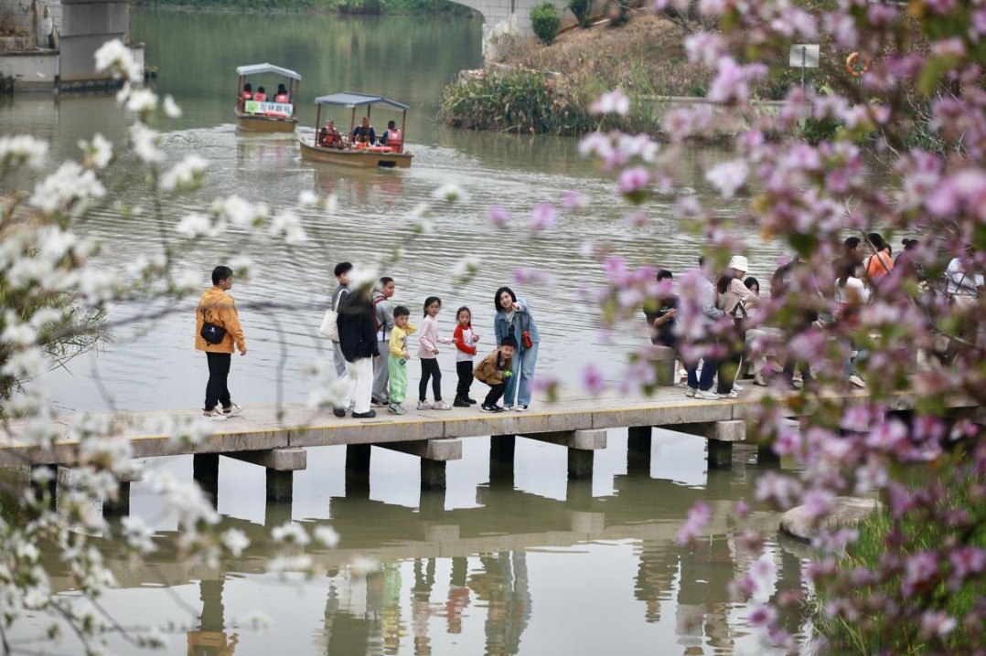 Spring awakens Guangzhou's vibrant flora