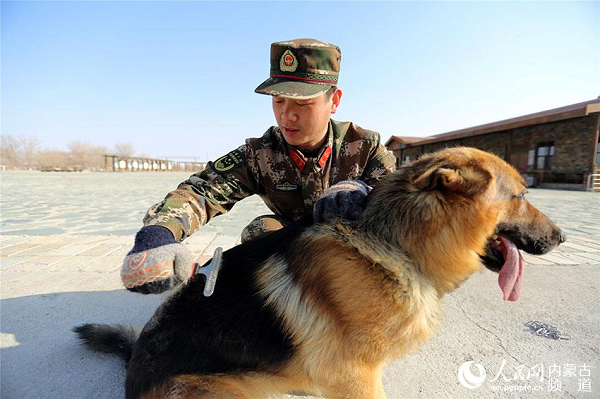 Patrol dogs help guard frontier