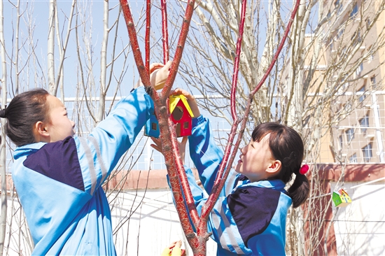 Baotou to raise awareness of bird protection