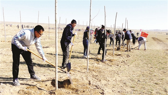 Activity adds greenery to Darhan Muminggan Joint Banner