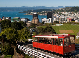 Xiamen mayor attends 2nd China-New Zealand Mayor Forum