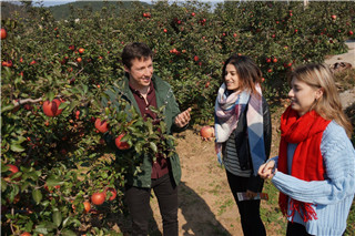 Lushunkou Apple Festival kicks off 