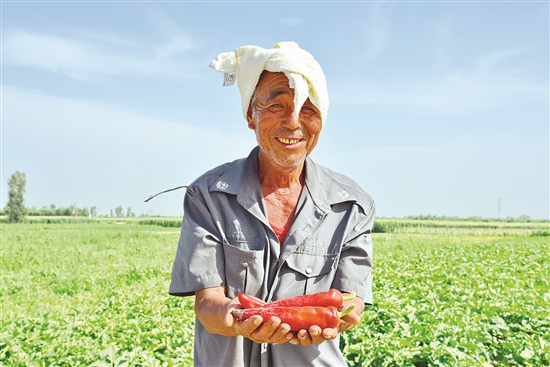 Baotou agricultural park eyes tourists