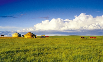 Xilamuren Grassland