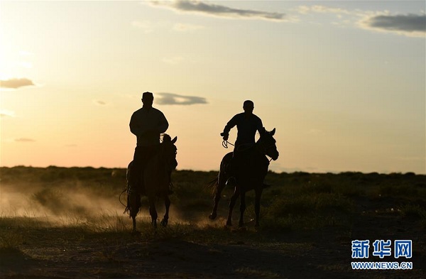 Farmer escapes poverty by raising camels