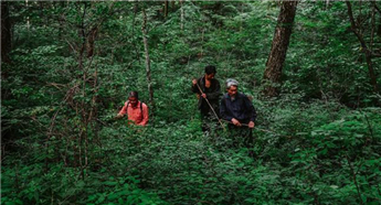 Ginseng pickers in Changbai Mountain