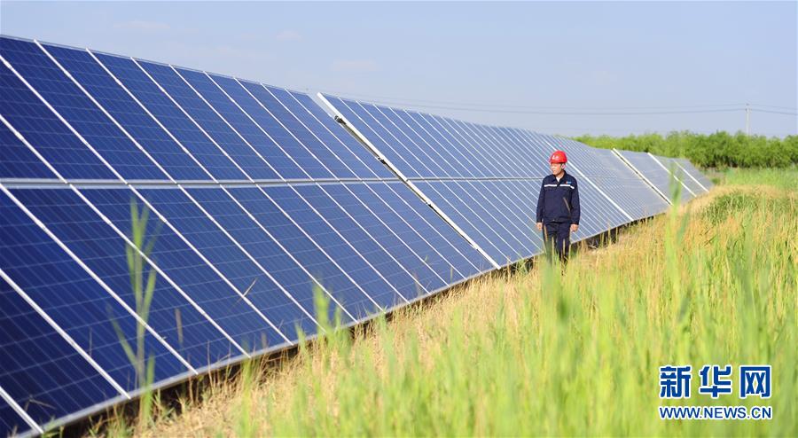 Inner Mongolia works to limit sand erosion