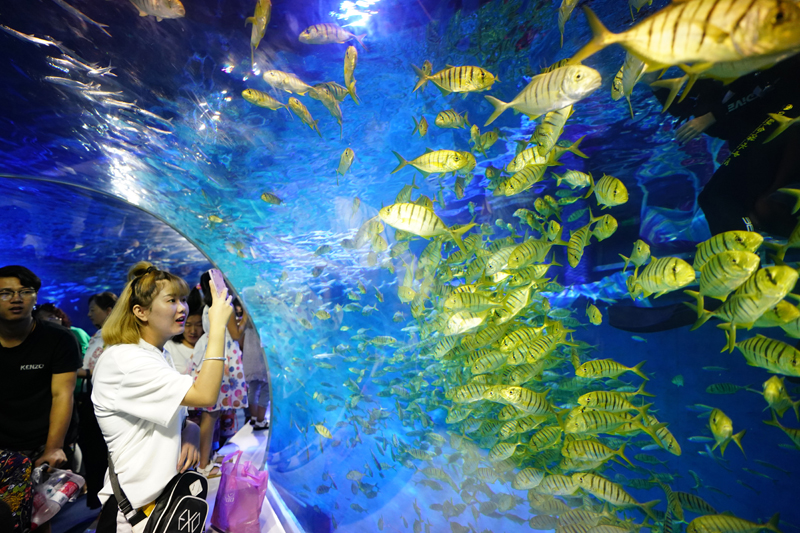 Explore Baotou's ocean world 