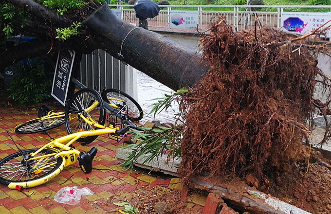 Typhoon Hato brings strong winds, rain as it lands in South China