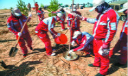 Recovering wastelands: trees and crops emerge from sand