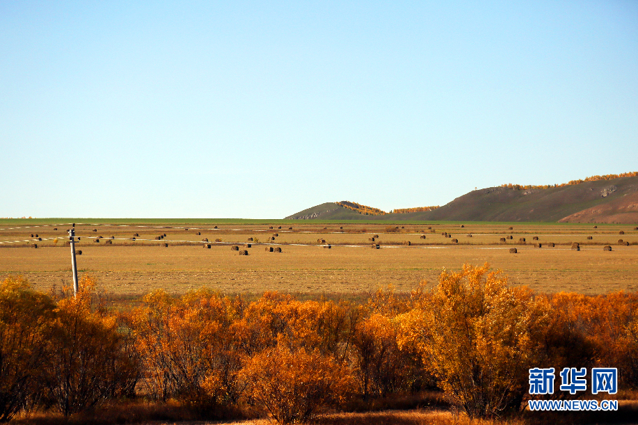 Autumn scenery in Hulunbuir