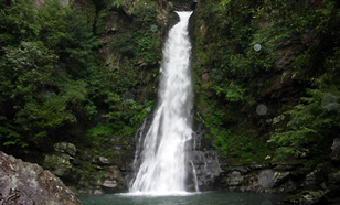 Five Dragon Pools Scenic Area