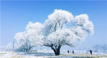 Rime scenery along Songhua River, Jilin province