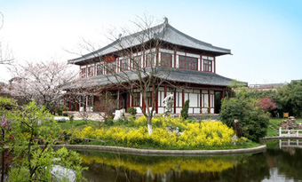 The Ancient Tang City Ruins Museum