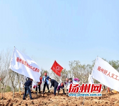 3月12日，我市机关、企事业单位、社会各界代表走进仪征枣林湾生态园参加义务植树活动。.jpg