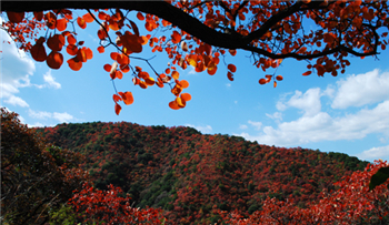 Ganshan National Forest Park