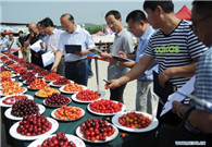 Farmers present cherries in fruit competition in Yantai