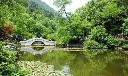 guiyang senlin.jpg