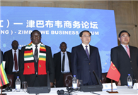 Zhejiang agrees deals totaling $184m with Zimbabwe