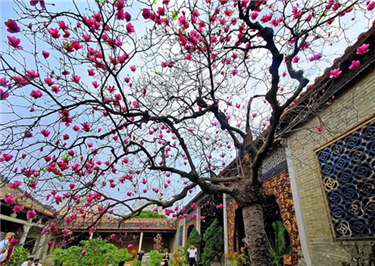 Cycling on Zhuhai Greenways 