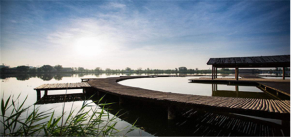 Nanhu Wetland Park.png