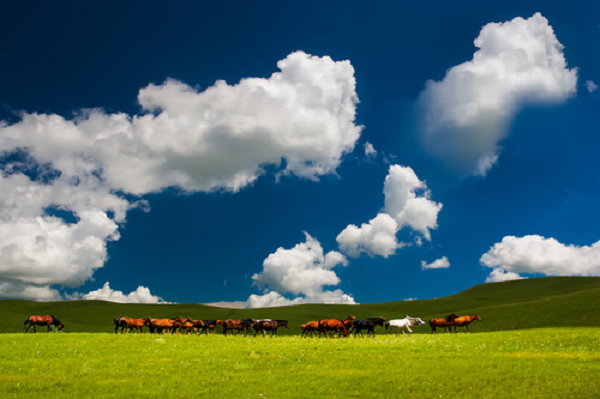 A glimpse of the scenery in the Chile Prairie Culture-oriented Tourism Area.png