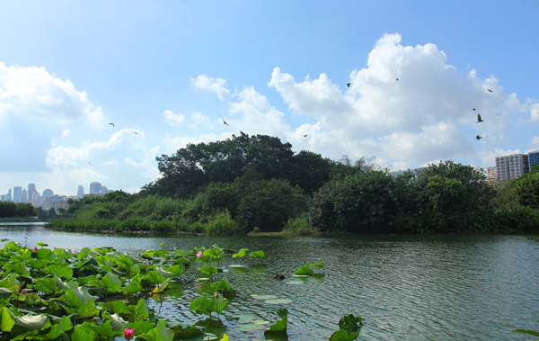 流花湖_副本.jpg