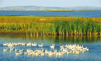 Hulan Estuary Wetland Park