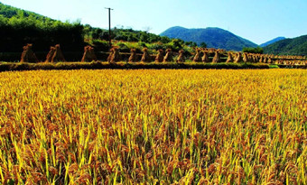 Where to enjoy the beautiful colors of autumn in Ningbo 