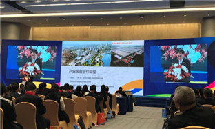 Ningbo promotes BRI projects to global Zhejiang entrepreneurs