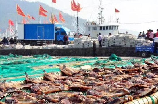 fishing port fenghua_副本.jpg