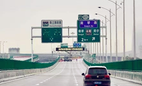 Exotic trees costing millions to line Nanqin Road