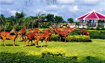 Golden Deer Park