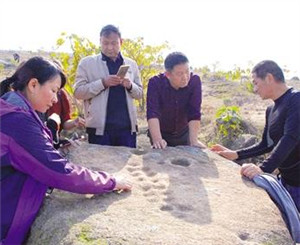 Petroglyphs in Nanyang reveal secrets of prehistoric civilization