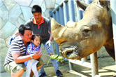 Wuxi Zoo prepares Dragon Boat feast for its animals