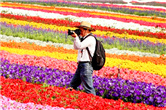 Floral rainbow lights up the horizon at Xuelang Mountain