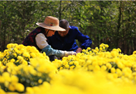 Shanlian village: making farmers rich through ecological construction