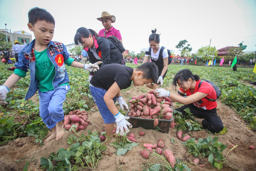 On province's birthday, poverty reduction captures the spotlight