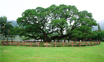 Fuzhou Forest Park