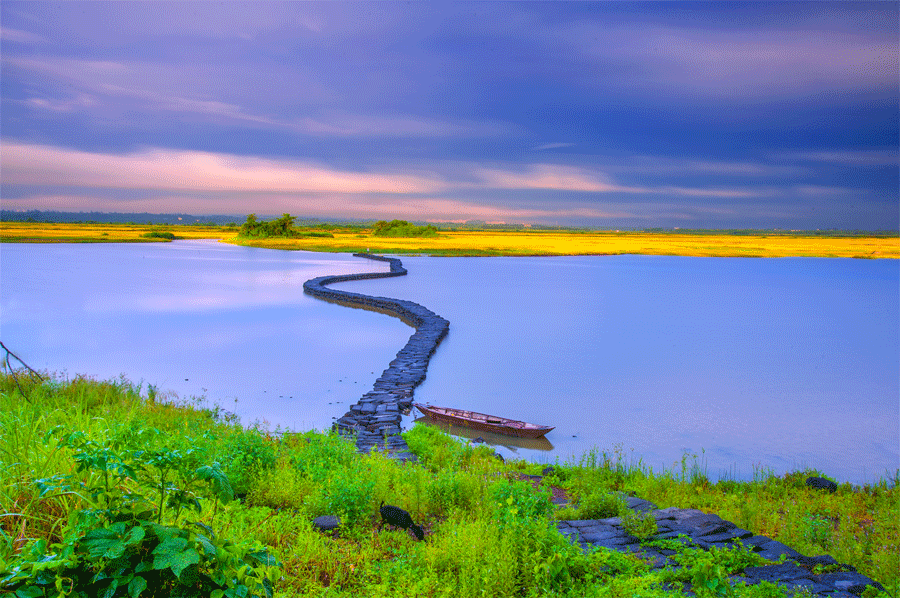 Haikou honored as intl wetland city