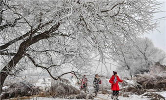 Rime in Jilin province