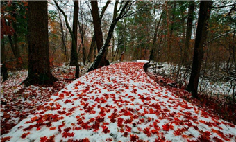 Lushui River National Forest Park