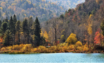 Binghu Valley Scenic Spot