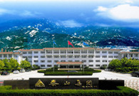 Taishan Group