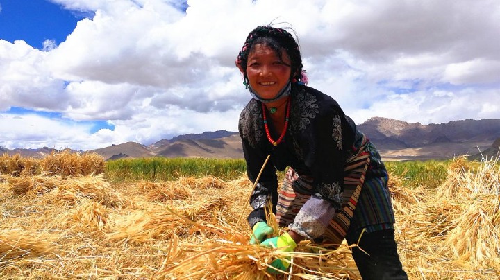 Tibet to renovate 18,900 houses in shantytowns