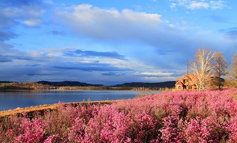 Da'erbin Lake National Forest Park