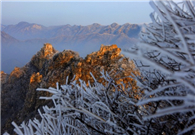 Social fund joins to help preserve the Great Wall for the first time