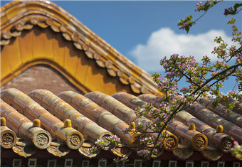 Palace Museum (Beijing)