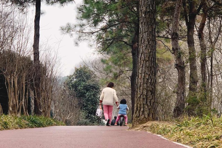 Nanjing constructs over 800 km of green walkways