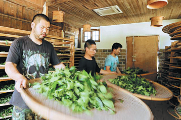 Local 'rock' star grows Wuyi Mountain trade